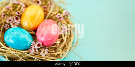 Three brightly painted eggs for Easter in the nest as a panorama header Stock Photo