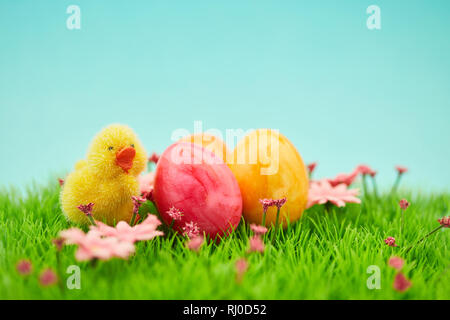 Easter background with chicks and easter eggs on a green meadow Stock Photo