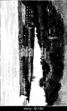 . Practical hints from farmers in the Canadian North-West [microform]. Agriculture; Canadian immigration literature; Agriculture. :lie com- 'adv and ig place, i system to a still and thv^ jf mixed )le com- What is ? (For and turns h for the t11 in this on. &gt;t plcusant pay better ut I think Tiing. ey can be ttle can be the most countrv. here grass 3t suitabli.' ock vvliere .dvantage ; s the most y to farm ; »'i 11 succeed d farming. .V. Please note that these images are extracted from scanned page images that may have been digitally enhanced for readability - coloration and appearance of the Stock Photo