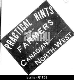 . Practical hints from farmers in the Canadian North-West [microform]. Agriculture; Canadian immigration literature; Agriculture. ^ ;. Please note that these images are extracted from scanned page images that may have been digitally enhanced for readability - coloration and appearance of these illustrations may not perfectly resemble the original work.. Canadian Pacific Railway Company. [London : s. n. ] Stock Photo