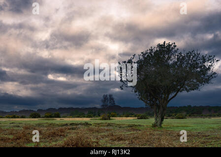 Stormy clouds over New Forest countryside Stock Photo