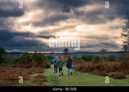 Stormy clouds over New Forest countryside Stock Photo