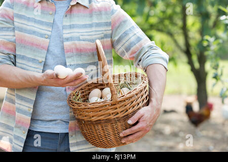 Midsection of mid adult farmer holding eggs in basket at farm Stock Photo