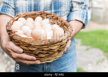 Midsection of farmer carrying eggs in wicker basket at farm Stock Photo