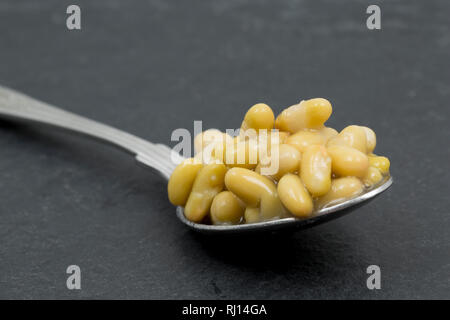 A tablespoonful of flageolet beans in water from a can bought from a Waitrose supermarket. England UK GB Stock Photo