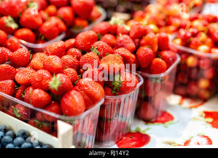 Boxes with fresh strawberries on the market - image Stock Photo