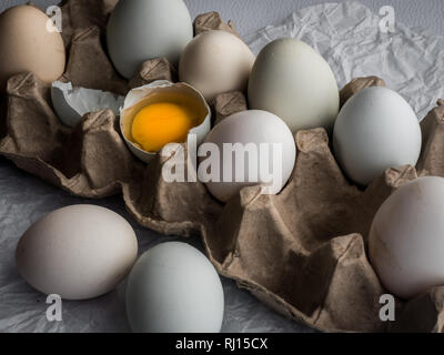 Matrimony eggs in carton with one open yolk Stock Photo
