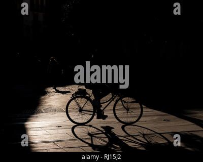 Strong Graphic Shadow Silhouettes of cyclists on bikes in pool of sunlight on street Seville Spain Stock Photo