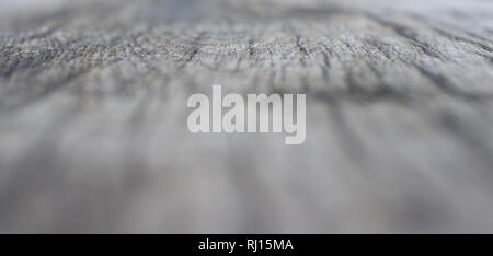 Wood texture in perspective with shallow depth of field Stock Photo