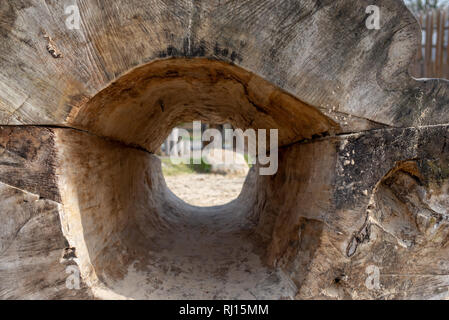 tree stump with hole inside Stock Photo