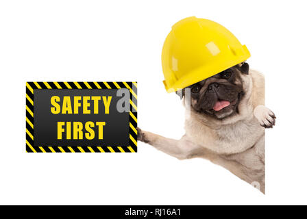 frolic smiling pug puppy dog with yellow constructor helmet, holding up black and yellow safety first sign board, isolated on white background Stock Photo