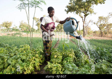 Samba village, Yako Province, Burkina Faso : Collette Guiguemde, 26 with her baby Ornela Divine Zoundi, 18 months, working in her husband's market garden. Stock Photo