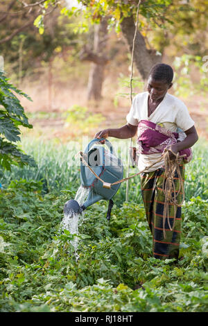 Samba village, Yako Province, Burkina Faso : Collette Guiguemde, 26 with her baby Ornela Divine Zoundi, 18 months, working in her husband's market garden. Stock Photo