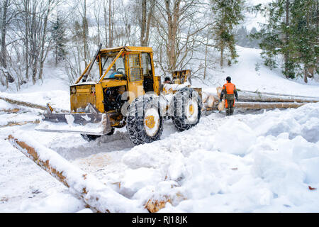 forestry tractor and anonymous woodcutters during the export of wooden logs from the mountain forest during the winter season Stock Photo