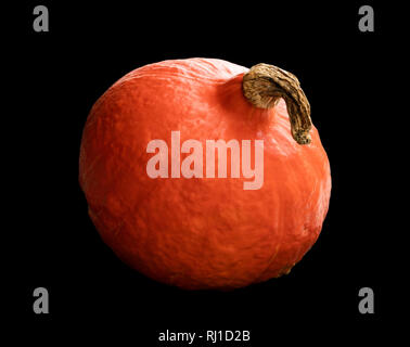 Small  pumpkin on black background Stock Photo