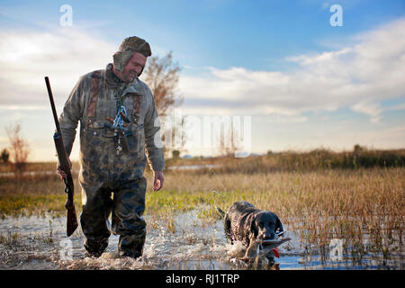 Duck hunter walking through a shallow lake alongside his dog who is holding a dead duck in it's mouth. Stock Photo