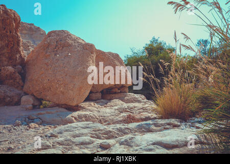 Oasis in desert.  Ein Gedi nature reserve. Israel Stock Photo