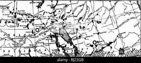 . Dairy farming, ranching and mining in Alberta and Assiniboia [microform]. Agriculture; Mines and mineral resources; Agriculture; Mines et ressources minières. S 8 ' ..--.- -. sW T /&quot;I'M 5'. Please note that these images are extracted from scanned page images that may have been digitally enhanced for readability - coloration and appearance of these illustrations may not perfectly resemble the original work.. [S. l. : s. n. ] Stock Photo