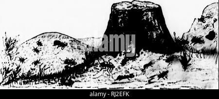 Catch Black and White Stock Photos & Images - Alamy