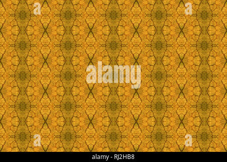This tiled pattern was made from a photograph of an autumn leaf, illuminated from behind. It can be tiled. Intricate details at full magnification. Stock Photo