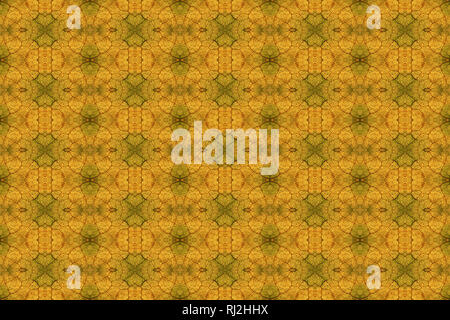 This tiled pattern was made from a photograph of an autumn leaf, illuminated from behind. It can be tiled. Intricate details at full magnification. Stock Photo