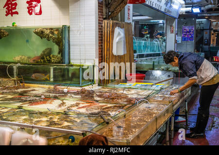 A fish tank in a seafood restaurant in Lei Yu Mun in Kowloon, Hong Kong, China, Asia. Stock Photo