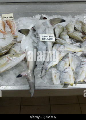 A Shark at the fishmarket in Abu Dhabi. Stock Photo