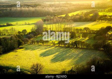 Long shadows in view in this scene from the Kent Downs, Wye, Kent, UK of the green fields and the trees below. Taken late afternoon in January. Stock Photo