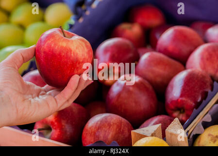 Only the best fruits and vegetables. Beautiful young woman holding apple. Woman buying a fresh red apple in a green market.. Woman buying organic appl Stock Photo