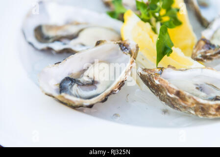 Selective focus point on fresh oysters shell with lemon Stock Photo