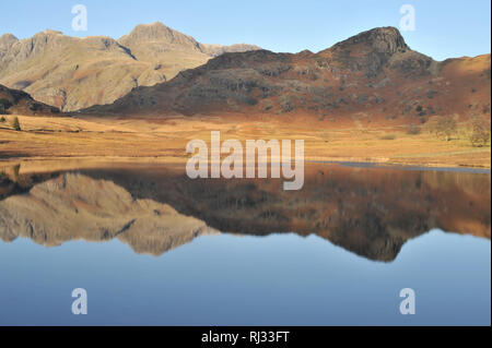 Blea Tarn Reflections Stock Photo