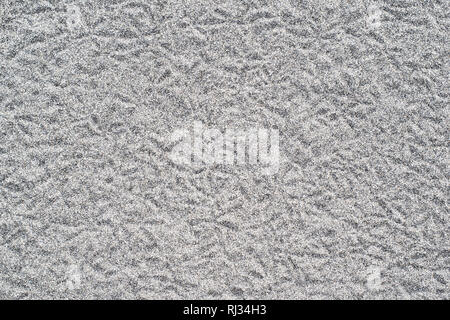 Bird tracks on dark grey sand on the beach Stock Photo