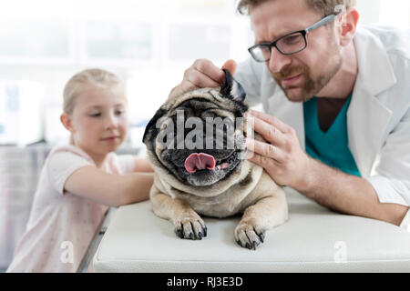 Doctor examining pug's ear with girl standing in veterinary clinic Stock Photo