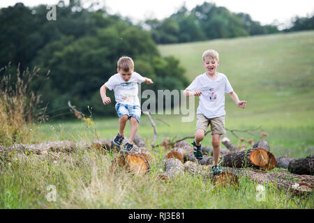 Two small boys running in nature on a summer day. Stock Photo