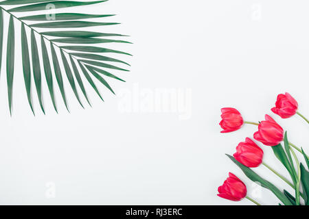 Flat lay frame of tropical palm leaf and bouquet of pink tulips on white background with empty space in middle. Stock Photo