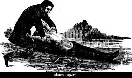 . Public school physiology and temperance [microform]. Physiology ...