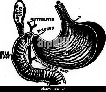 . Public school physiology and temperance [microform]. Physiology ...