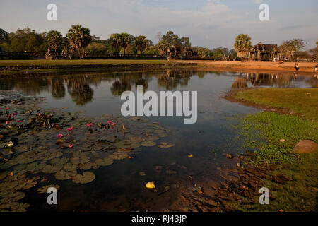 Kambodscha, Provinz Siem Reap, Region Angkor, buddhistische Tempelanlage Prea Khan, Stock Photo