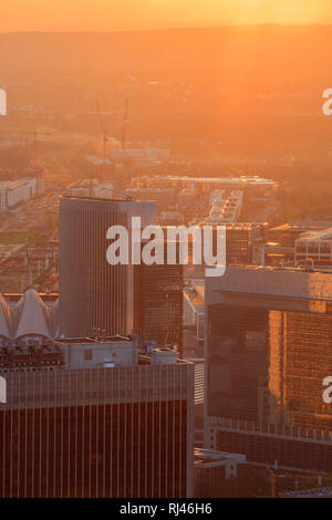 Europa, Deutschland, Hessen, Frankfurt, Hochhäuser Kastor, Pollux und FBC im Sonnenuntergang bei Gegenlicht Stock Photo