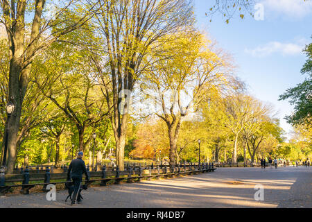 Scenic landscape and people exercising/jogging/walking/riding through Central Park New York during the colorful Autumn/Fall season Stock Photo