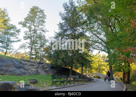 Central Park city nature park in New York City in the autumn/fall season. Two empty park benches. Man walking his dog along paved walkway. Stock Photo