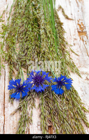 Arrangiertes Stillleben aus Naturmaterialien, Hafer, Kornblumen,
