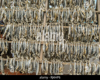 Rows of dried salted fish for sale, hanging from a rack. Stock Photo