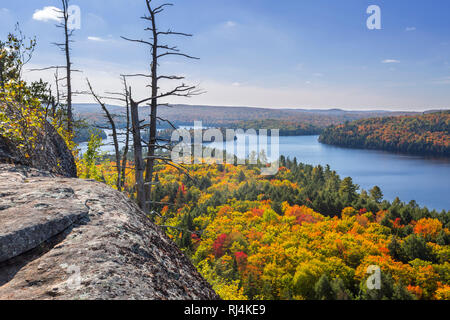 North America, Canada, Ontario, Algonquin Provincial Park, autumn colours Stock Photo
