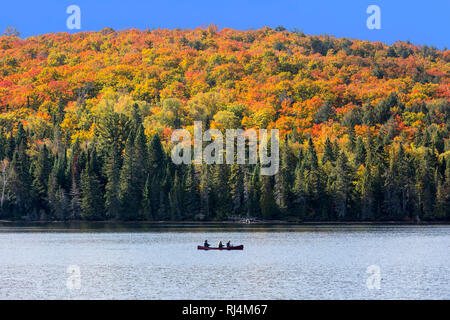 North America, Canada, Ontario, Algonquin Provincial Park, 3 people canoeing in autumn Stock Photo