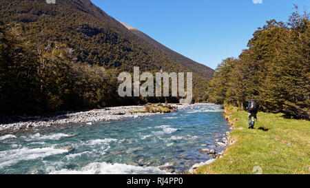 A man with backpack hiking in New Zealand beside the Travers River in Nelson Lakes National Park, New Zealand. Stock Photo