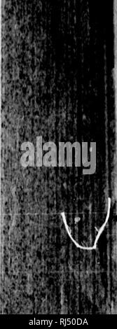Youn li hi-res stock photography and images - Alamy