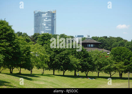 Rheinauenpark , Post-Tower, Bonn, Nordrhein-Westfalen, Deutschland, Europa Stock Photo
