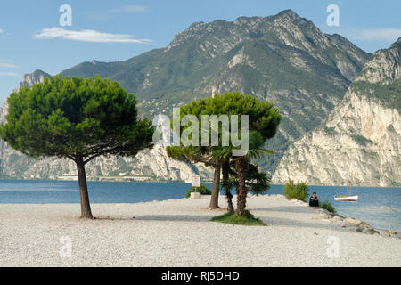 Strand von Torbole am Morgen, Gardasee, Provinz Trient, Trentino-Südtirol, Italien Stock Photo