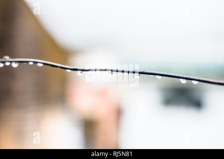 Close up or Macro shot of water droplets on the washing line during monsoon season or rain. Stock Photo